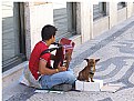 Picture Title - The beggar dog