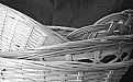 Picture Title - Basket case