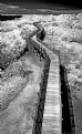 Picture Title - Boardwalk 