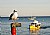 Sea Gull Santa Barbara