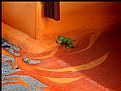 Picture Title - Trottoir Orange