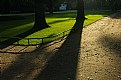 Picture Title - long shadows