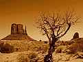 Picture Title - Monument valley -  buttes