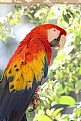 Picture Title - Pretty Bird