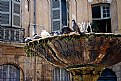 Picture Title - Les Pigeons sur une Fontaine dans l'Aix