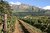 Constantia Valley