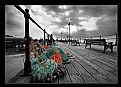 Picture Title - Nets - Harwich Pier