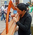 Picture Title - Urban  harpstrings