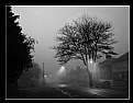 Picture Title - Foggy Suburbia