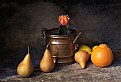 Picture Title - Still life 39