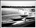 Picture Title - Low Tide 2