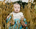 Picture Title - harvest time