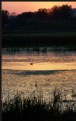 Picture Title - Pastel Twilight at the Marsh