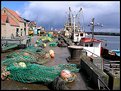 Picture Title - Harbour Life...