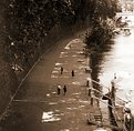 Picture Title - Rome: walking along the river