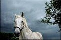 Picture Title - rain is about to come