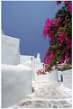 Picture Title - Mikonos, Greece....