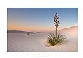 Picture Title - White Sands National Monument