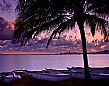 Picture Title - Tropical Sunrise