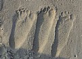 Picture Title - footprints