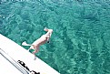 Picture Title - bangee dives from the boat