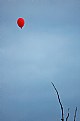 Picture Title - Little red balloons