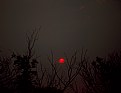 Picture Title - A Dying Sun