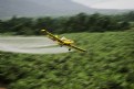 Picture Title - Panning For Gold