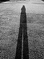 Picture Title - Lonely shadow