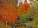 Picture Title - Autumn Colors