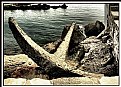 Picture Title - old anchor...