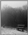 Picture Title - Silent bench