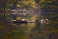 Picture Title - Rydal Water