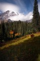 Picture Title - Tahoma Meadows