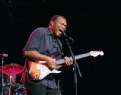 Picture Title - robert cray