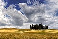 Picture Title - Val d'Orcia