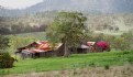 Picture Title - Abandoned Homestead