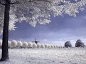 Picture Title - Windmill (IR)