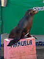 Picture Title - Manuela