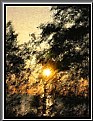 Picture Title - Autumn Sunrise Abstract