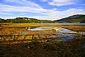 Picture Title - face of autumn