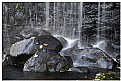 Picture Title - Autumn falls