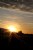 Sun Set