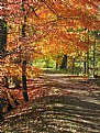 Picture Title - Autumn in Ohio