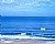 Beach & Surfers