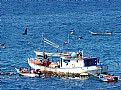 Picture Title - Penero in the Bay of Pampatar