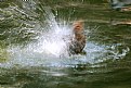 Picture Title - ((