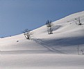 Picture Title - part of winter