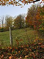 Picture Title - Autumn Pasture