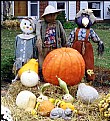 Picture Title - Halloween yard decoration